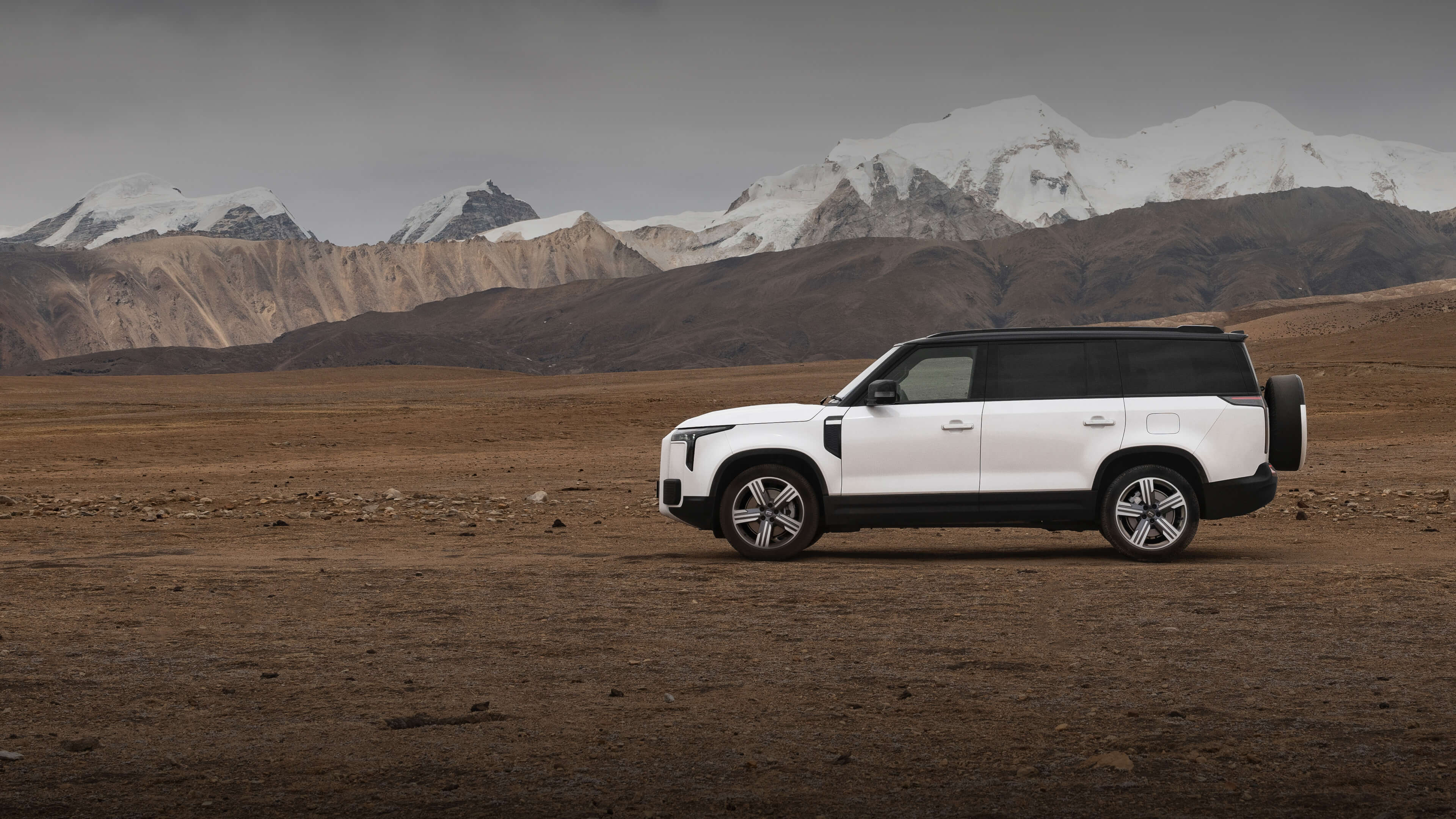 ROX 01